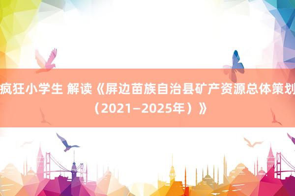 疯狂小学生 解读《屏边苗族自治县矿产资源总体策划（2021—2025年）》