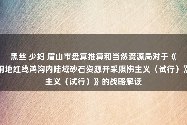 黑丝 少妇 眉山市盘算推算和当然资源局对于《眉山市模式用地红线鸿沟内陆域砂石资源开采照拂主义（试行）》的战略解读